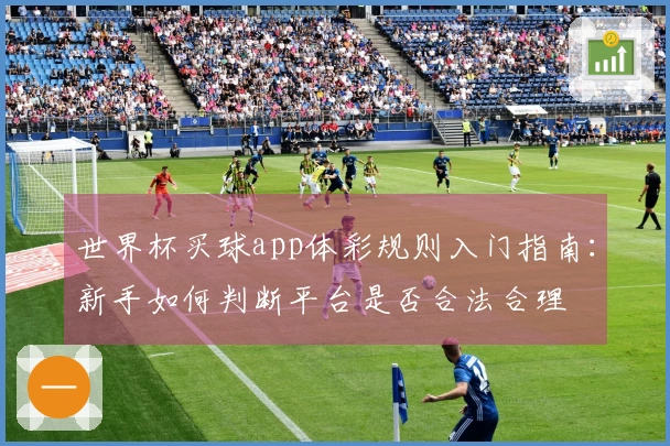 世界杯买球app体彩规则入门指南：新手如何判断平台是否合法合理
