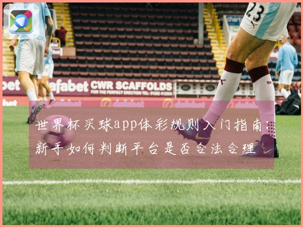 世界杯买球app体彩规则入门指南：新手如何判断平台是否合法合理
